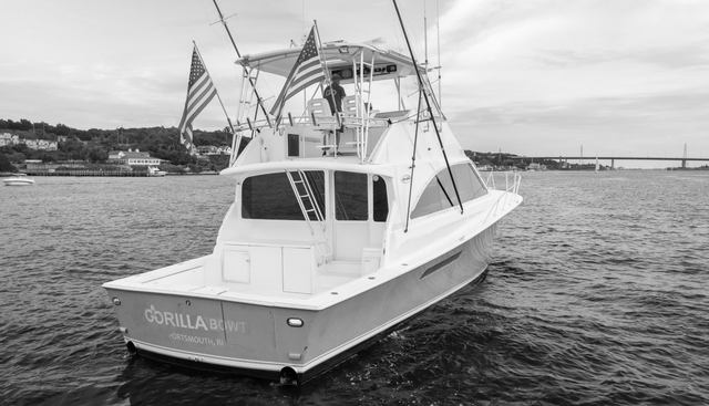 Gorilla Bowt yacht for sale 14