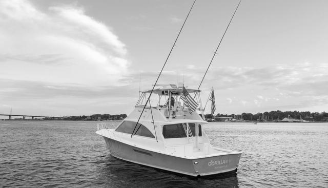 Gorilla Bowt yacht for sale 15