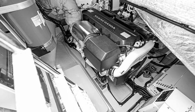 PREDATOR EVO yacht for sale 45