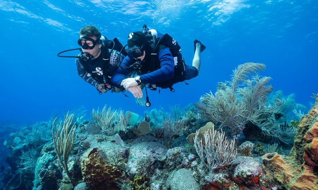 Rocinante yacht Diving centre