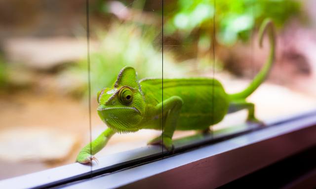 Nirvana yacht Vivarium