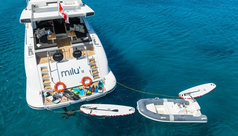 MILU II for sale 36