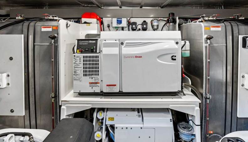 WILD GAMBLE For Sale image33