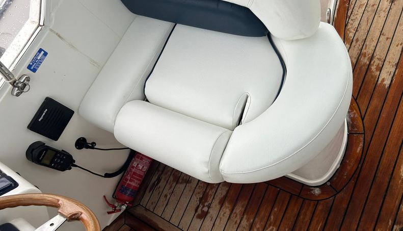 Dancing Bear For Sale image21