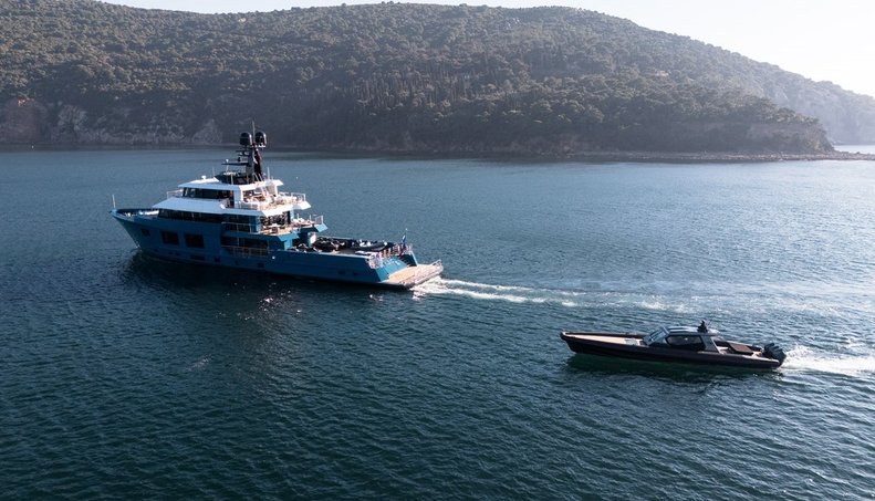 King Benji For Sale image4