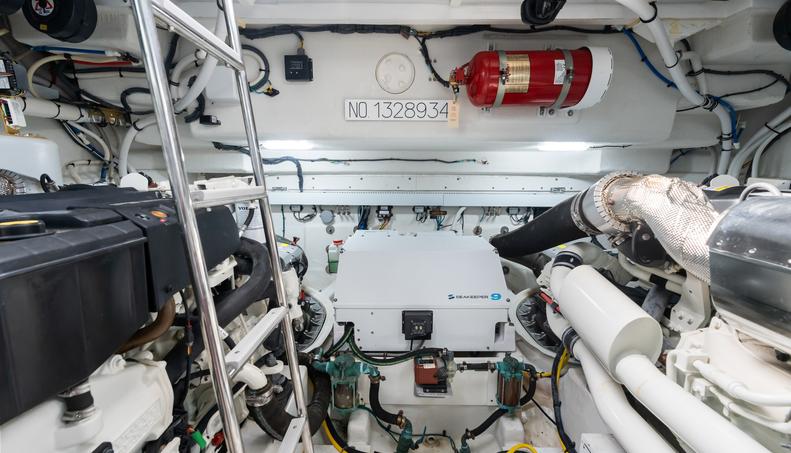 Tropical Dreamer For Sale image75