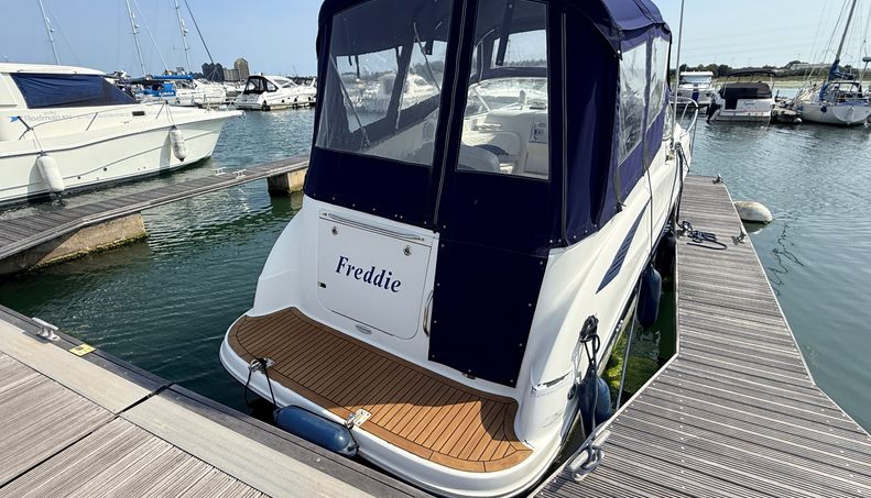 Freddie For Sale image17