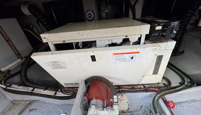 Lady Zette For Sale image30