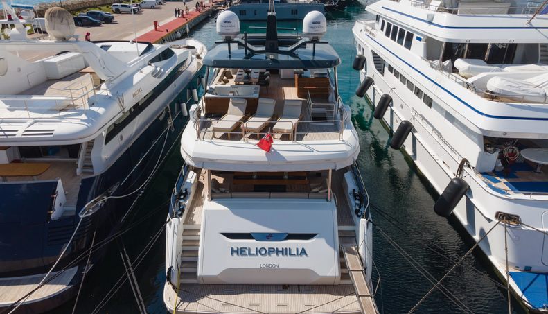 HELIOPHILIA For Sale image44