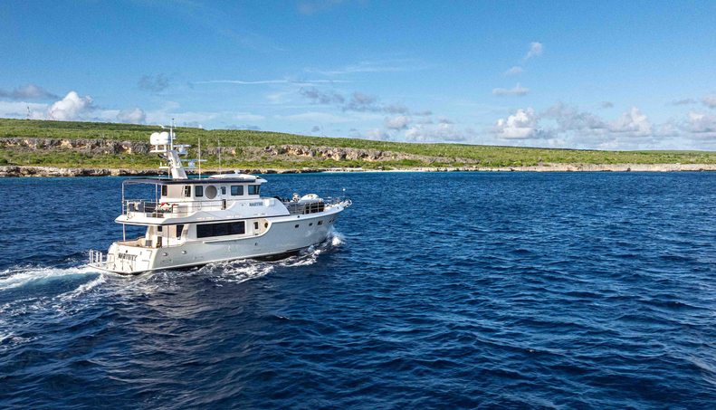 Martini For Sale image56