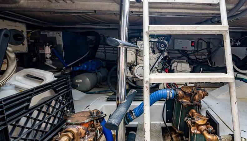 VET BILLZ For Sale image42