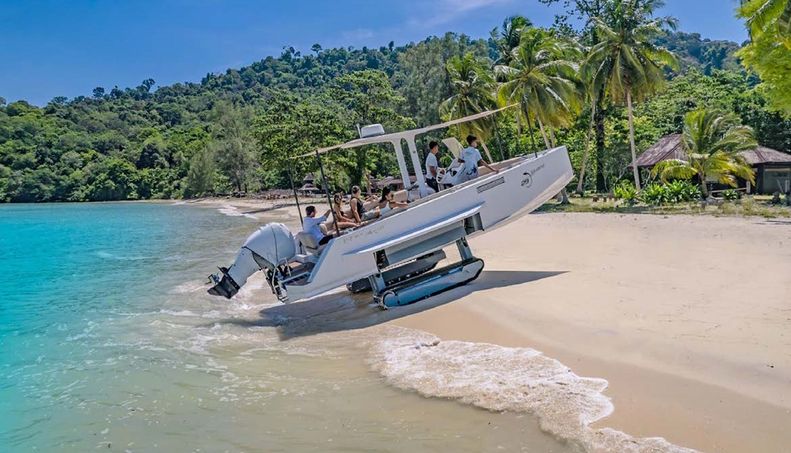 AZUL V For Sale image23