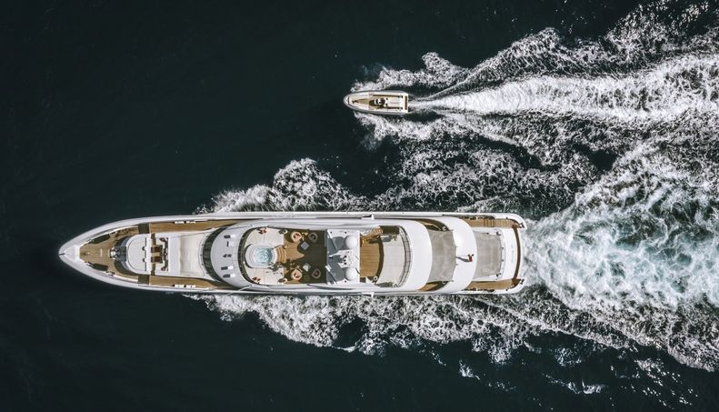 DAISY D For Sale image30