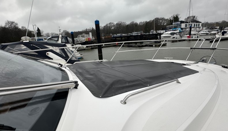 Mollie For Sale image42