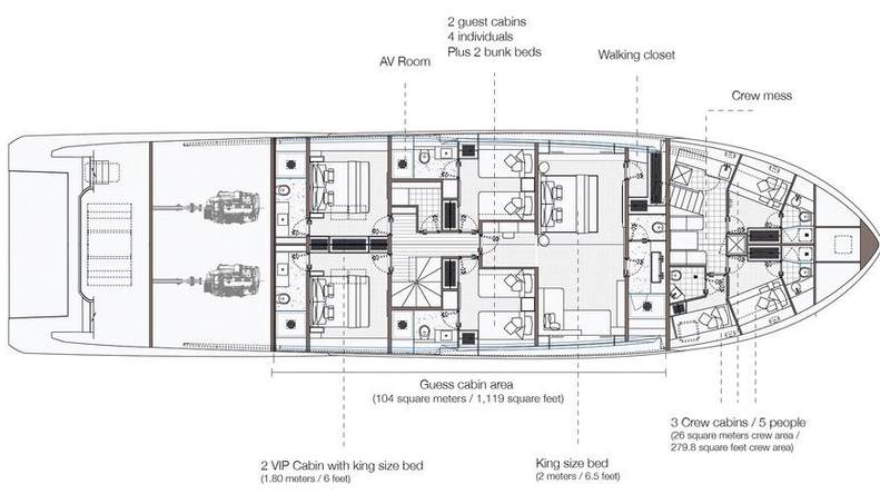 VIVACE For Sale image46