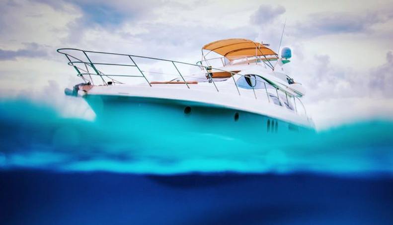 BELLE For Sale image32