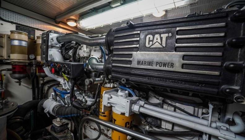 THE GARLIC For Sale image46