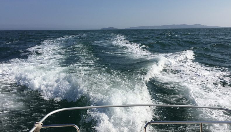 Éalú For Sale image31