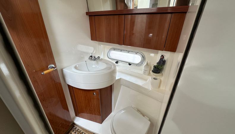 Osprey For Sale image26