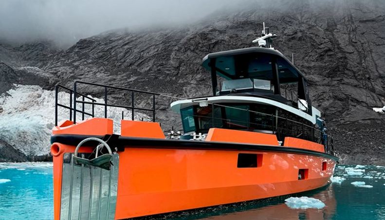 VANGUARD For Sale image40