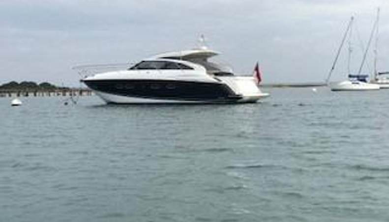 Amora For Sale image58