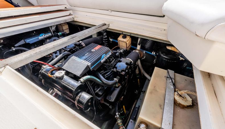 Sea Oddity For Sale image26