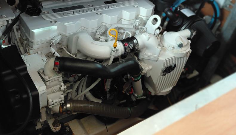 Dignity For Sale image46