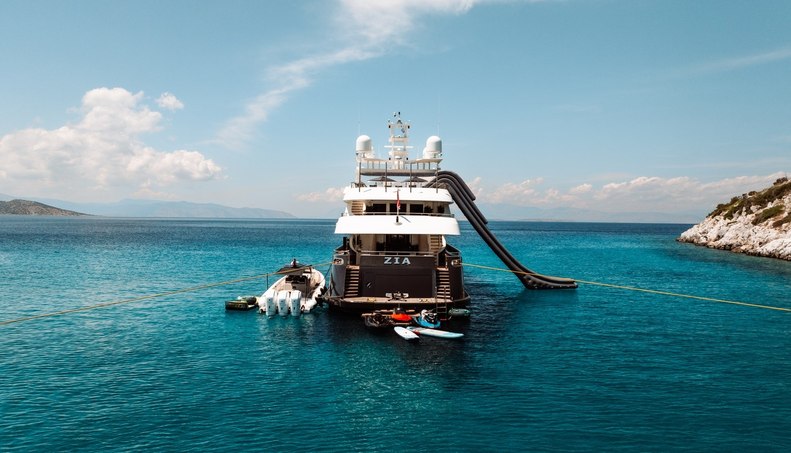 ZIA For Sale image38