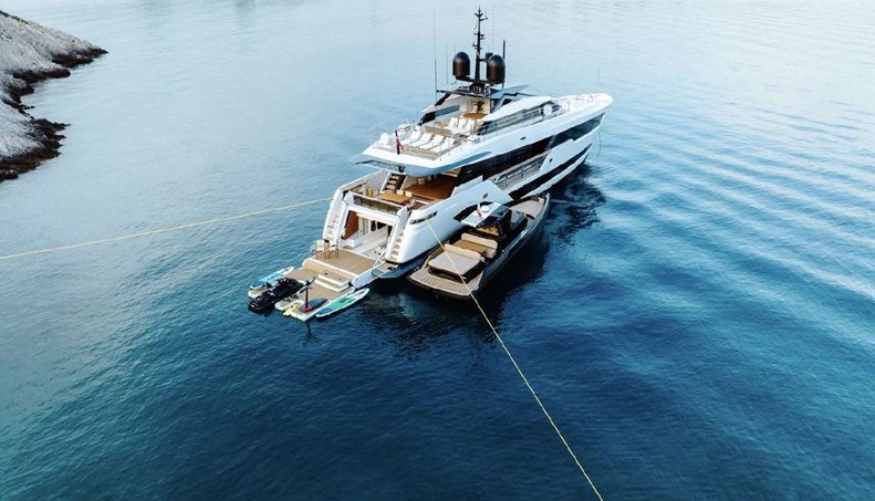 Erolia For Sale image21