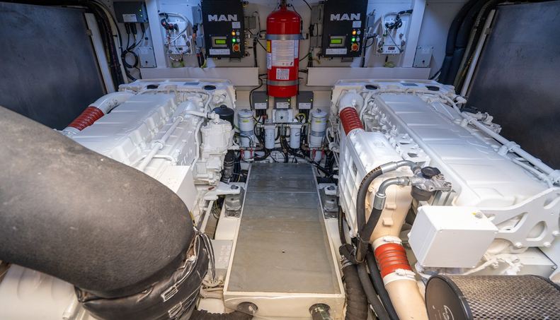 DUDU For Sale image44