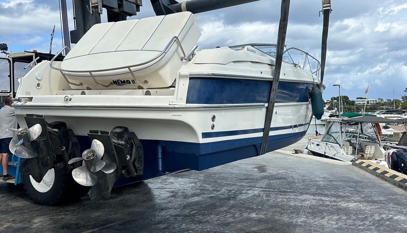 Nemo II For Sale image20