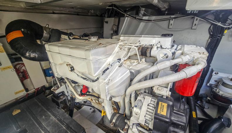 Rumble Bee For Sale image17