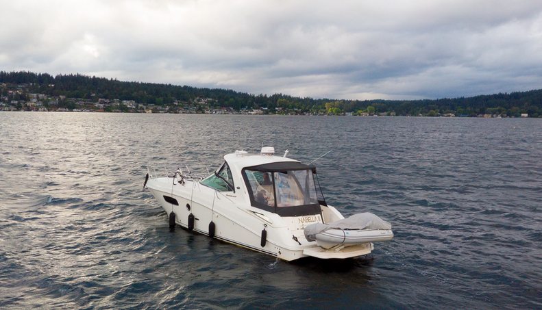 Nabella II For Sale image23