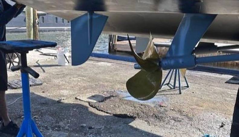 noname For Sale image61