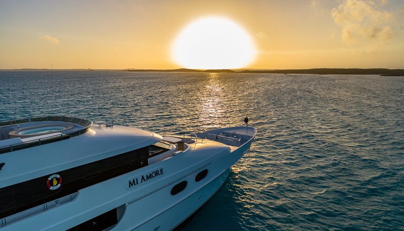 AMORE For Sale image52