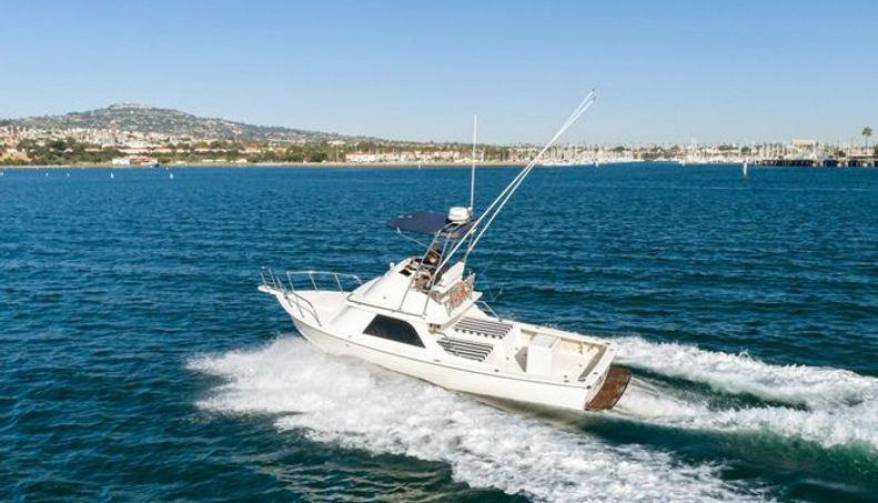 Patriot For Sale image28