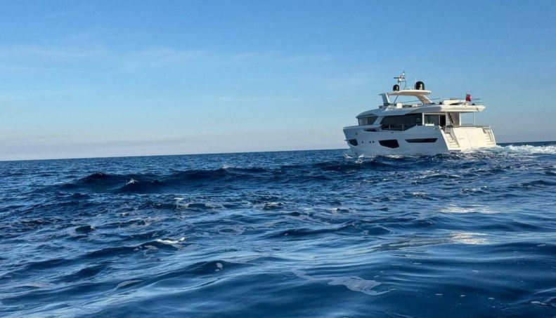 MAORIA For Sale image92