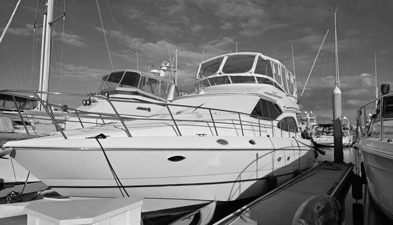 Lady L For Sale image30