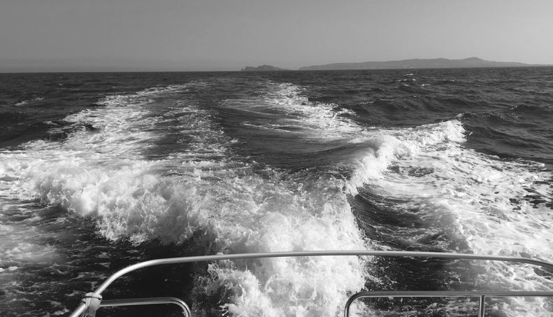 Éalú For Sale image31