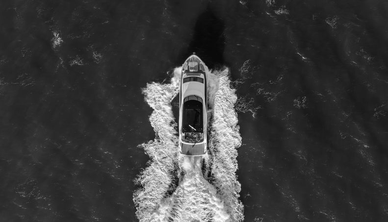 Aurelius For Sale image42