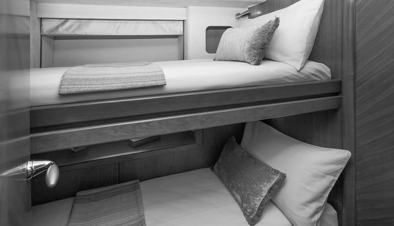 FROGGY For Sale image29