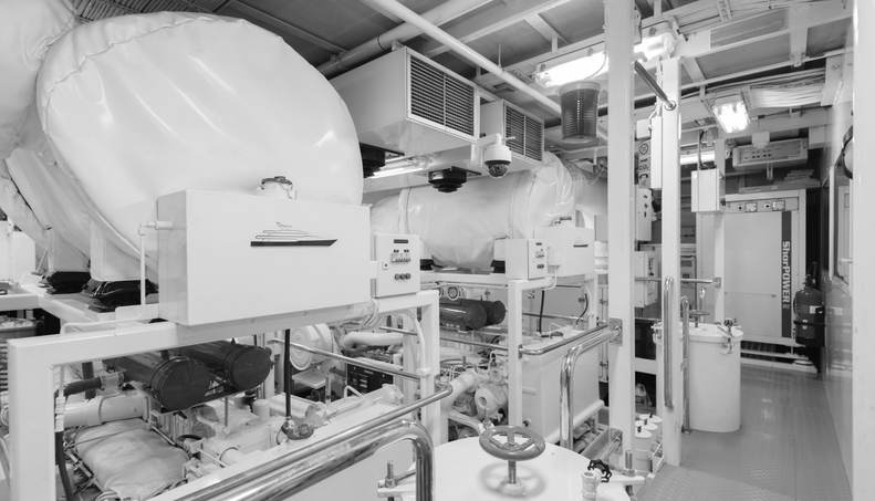 HERCULES For Sale image64