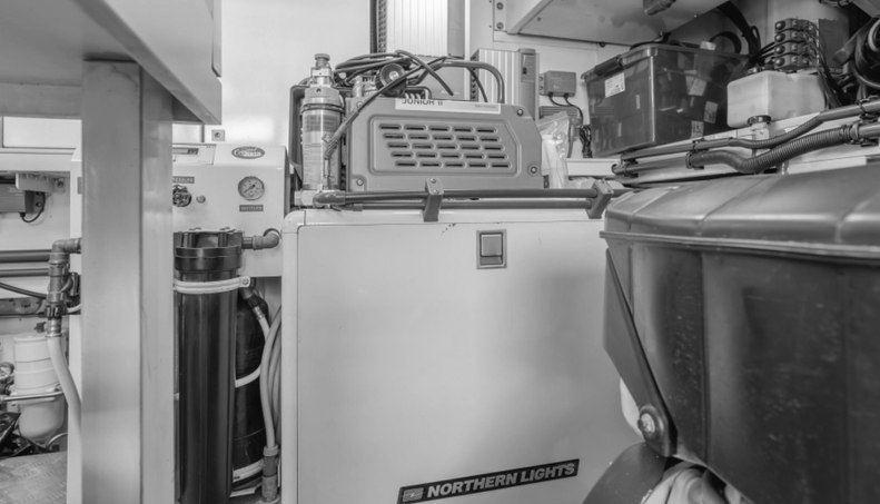 GYRFALCON For Sale image93