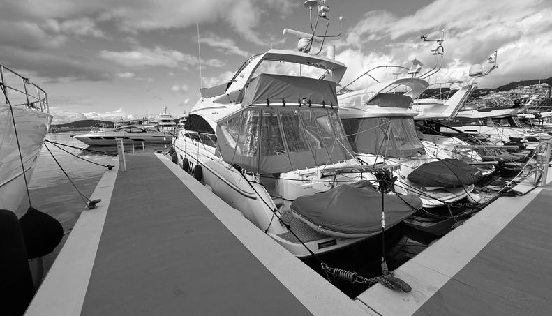 noname For Sale image24