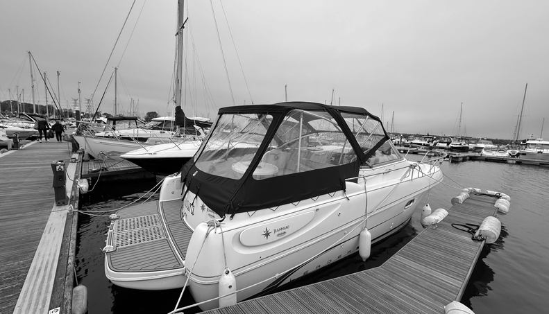 Futura For Sale image29