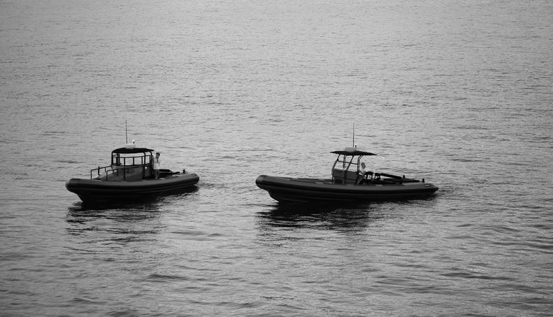 PLANET NINE For Sale image56