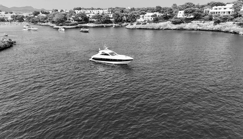 noname For Sale image50