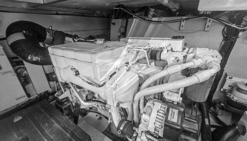 Rumble Bee For Sale image17