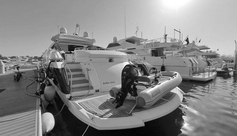 TIMELESS C For Sale image23