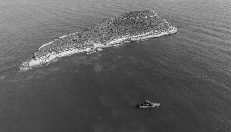 VANGUARD For Sale image38